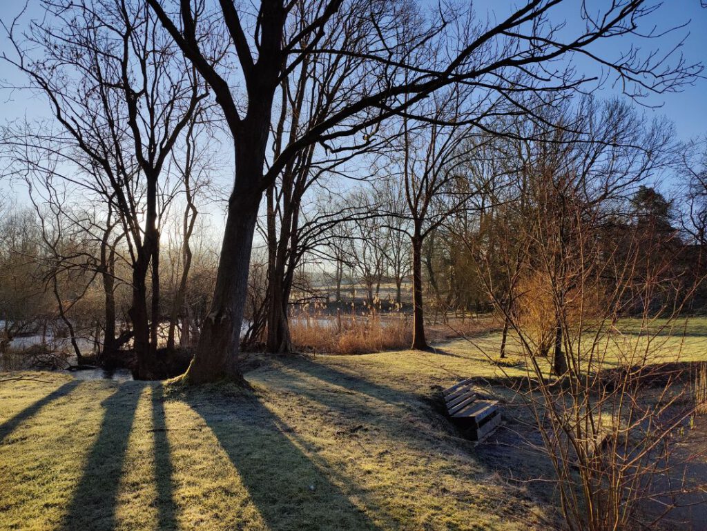 Morgensonne im Garten