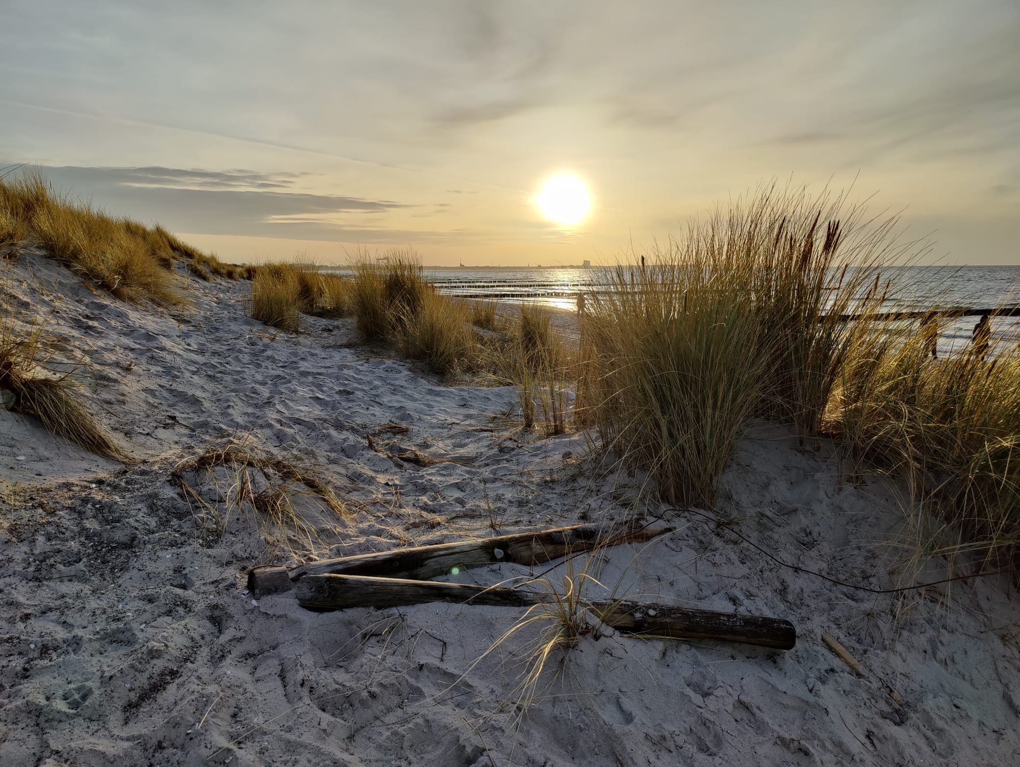 Strand von Markgrafenheide
