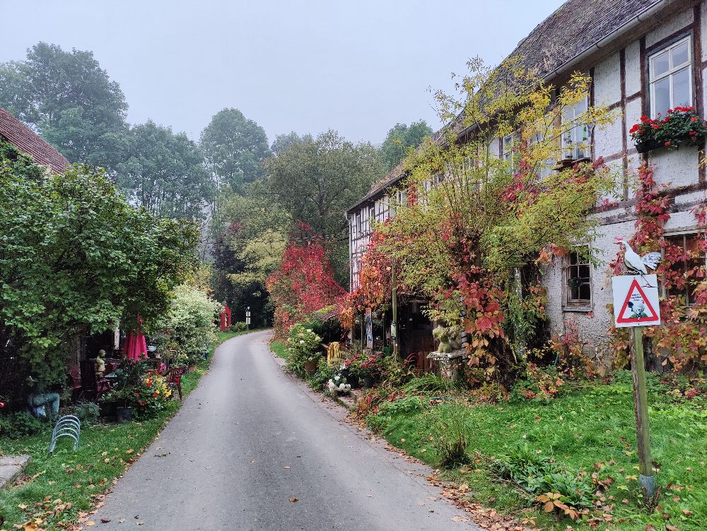 Plinz im Herbst 22